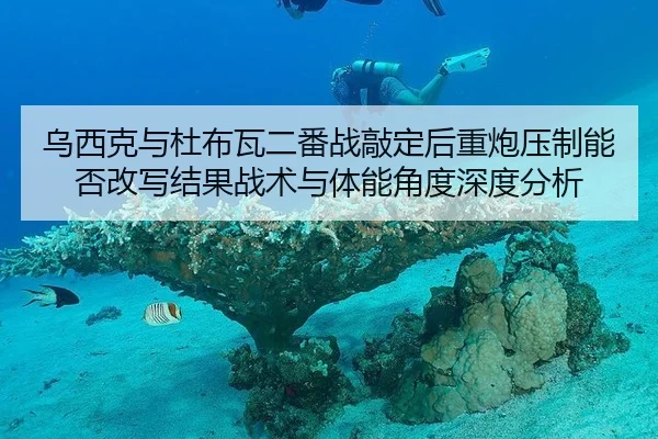乌西克与杜布瓦二番战敲定后重炮压制能否改写结果战术与体能角度深度分析